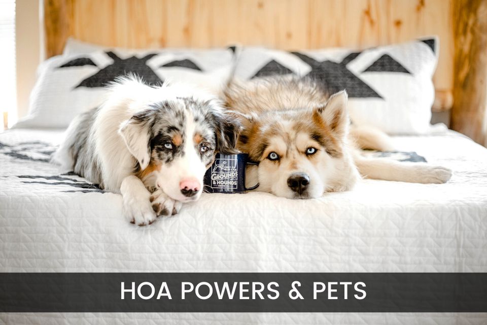 HOA Powers & Pets