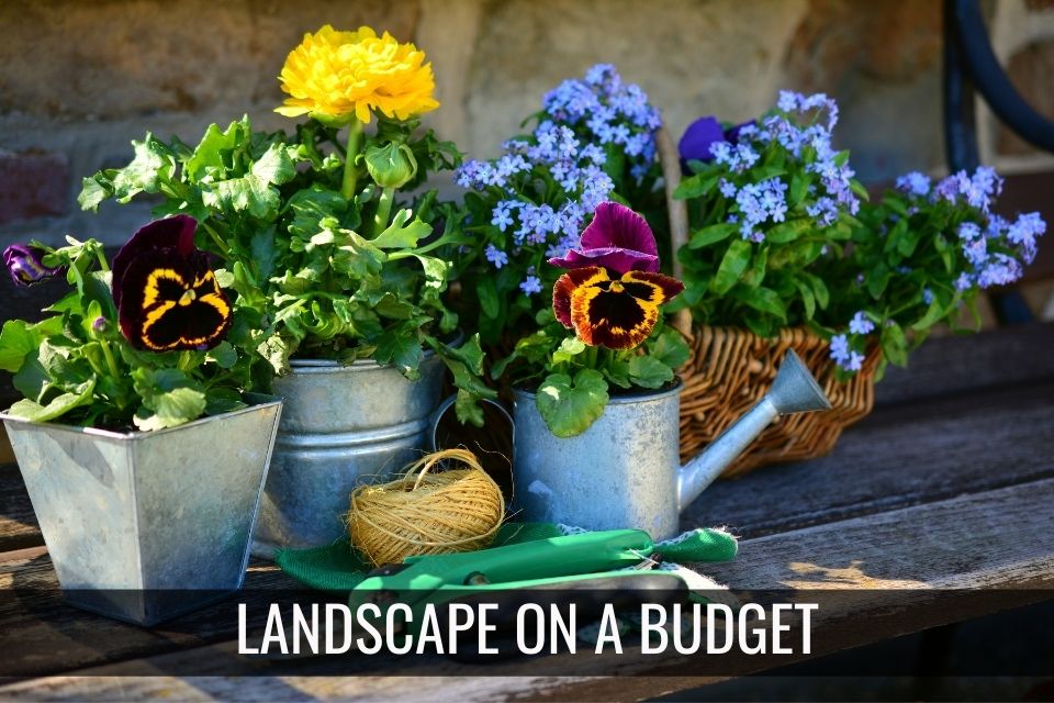 Landscape on a Budget